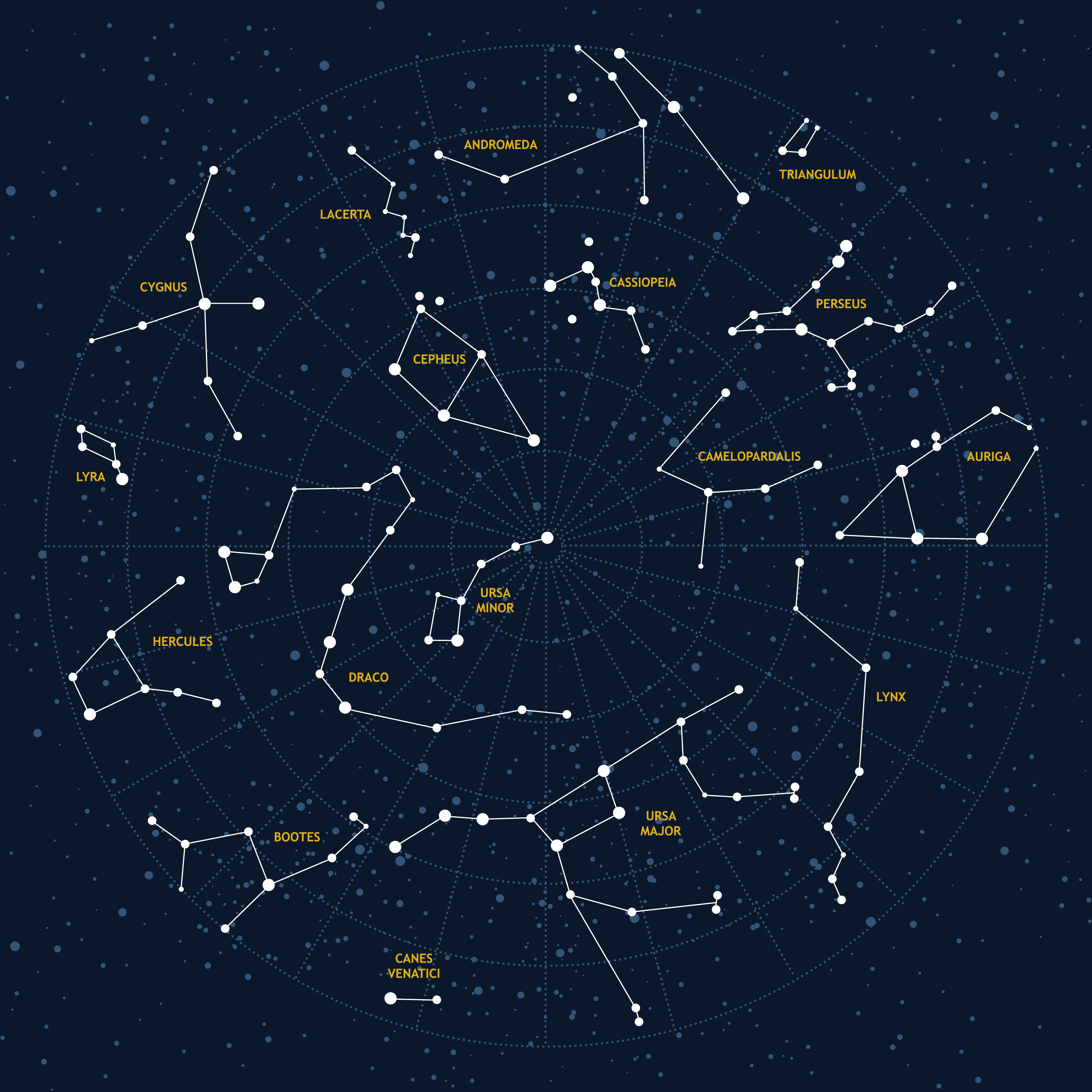 labeled constellations in the night sky