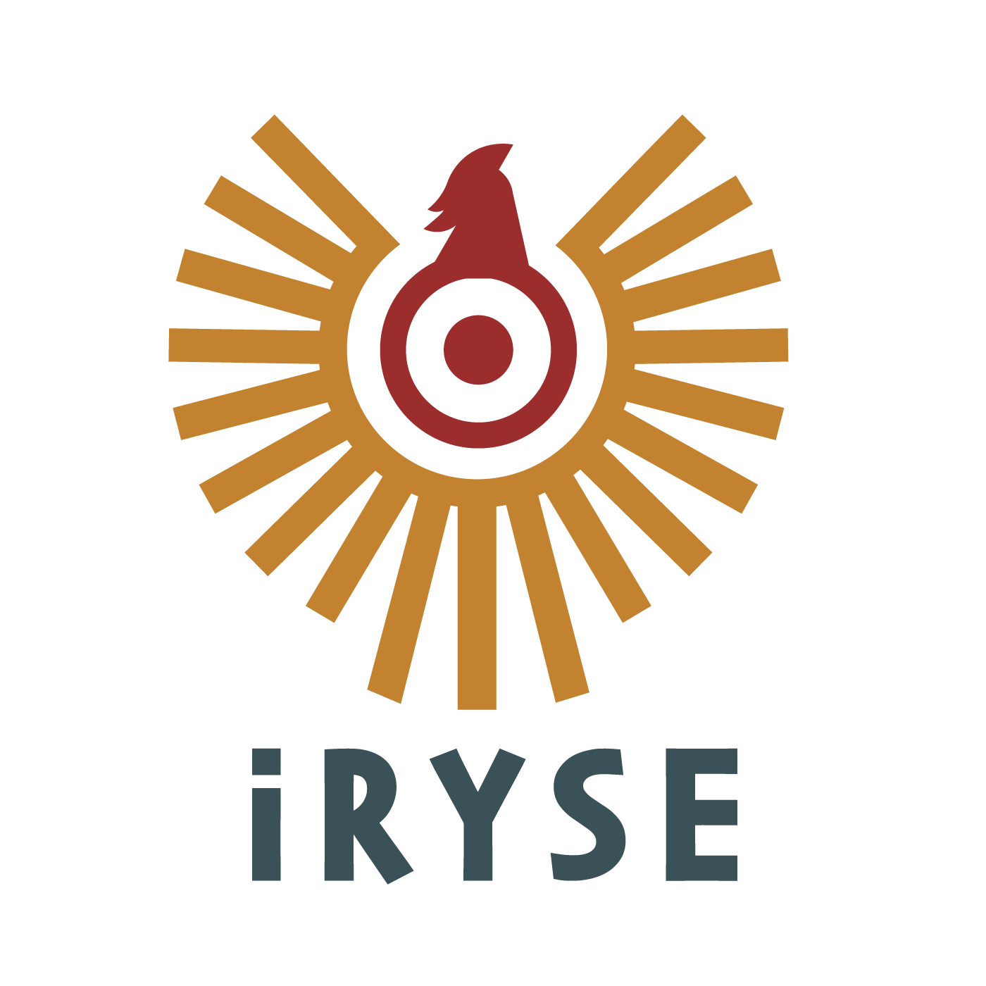 iRYSE Lab logo.