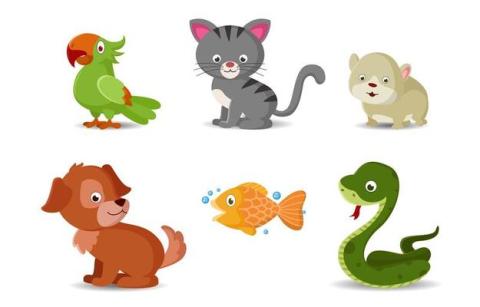 clipart of two rows of animals. the top row has a parrot, cat, and hamster. The bottom row has a dog, fish, and snake.