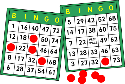 Image of 2 bingo cards 