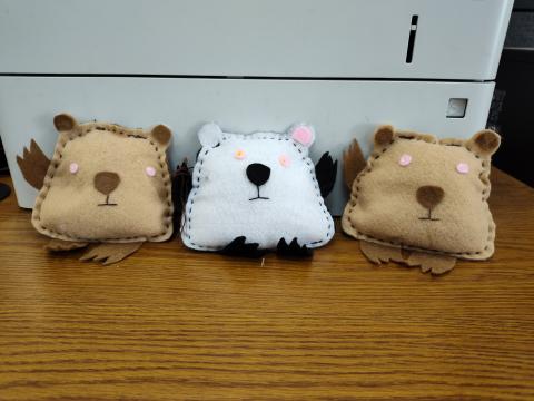 Three Cute Wombats printing!