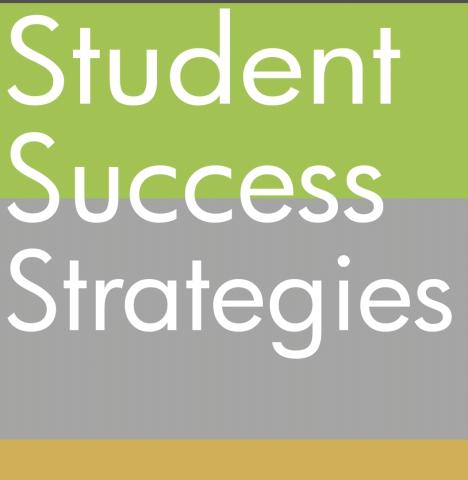 Student Success Strategies LLC logo green grey background with white letters.