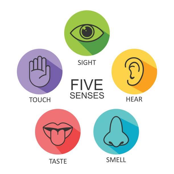 infographic of the five senses with each one depicted inside a circle and labeled