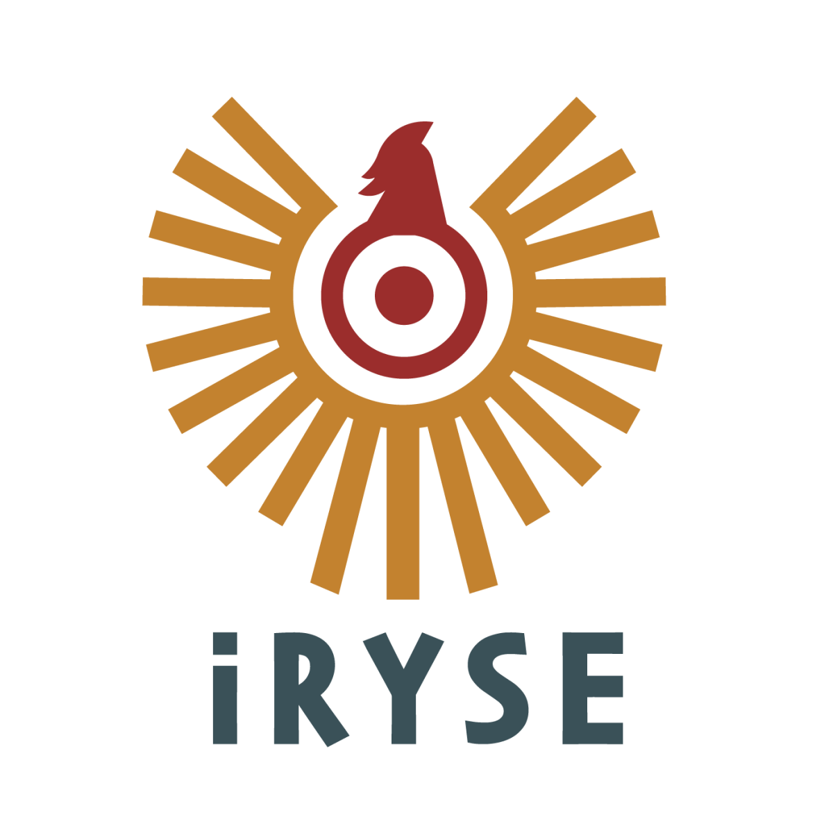 iRYSE Lab logo.