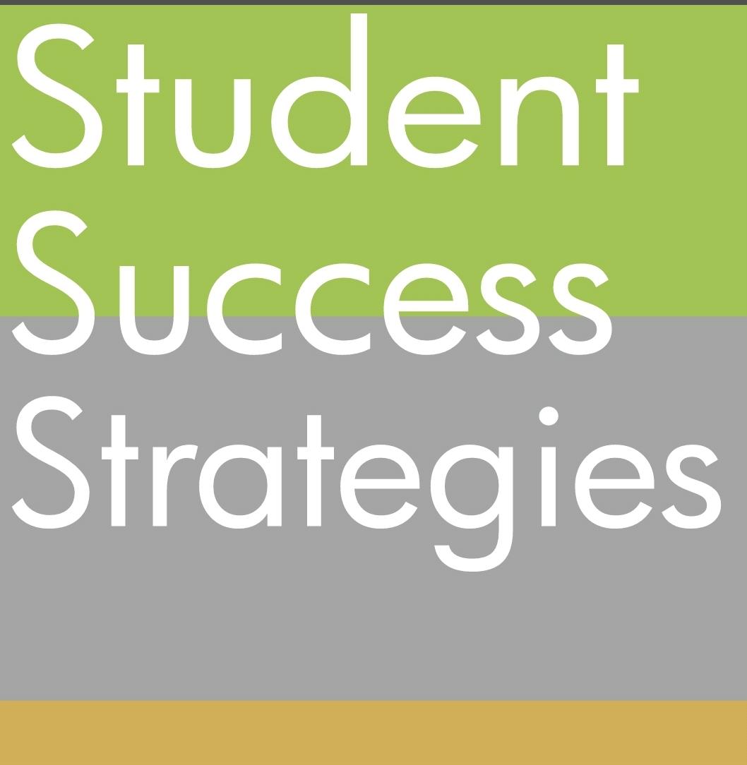 Student Success Strategies LLC logo green grey background with white letters.